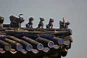 IMG_1439.JPG