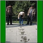 IMG_6412.jpg