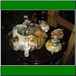 IMG_6523.jpg