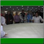 IMG_6584.jpg